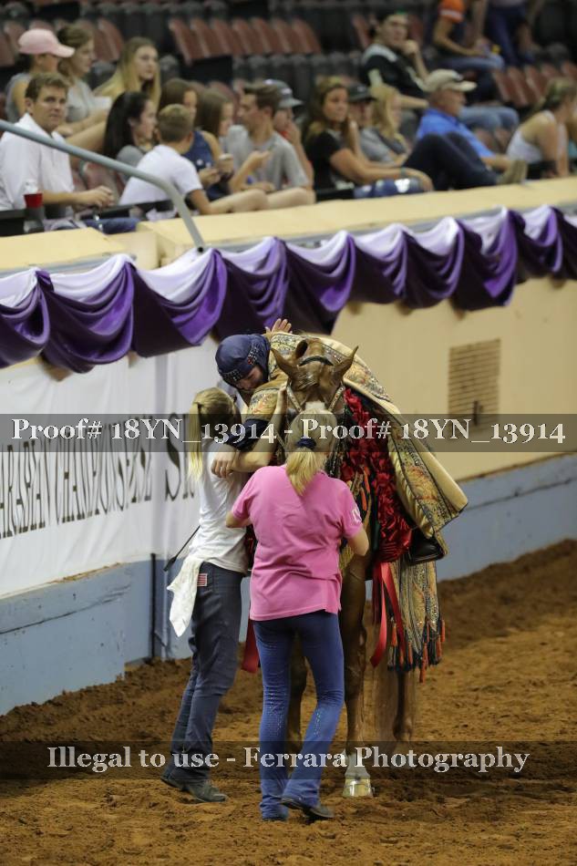 Proof 18YN_13914