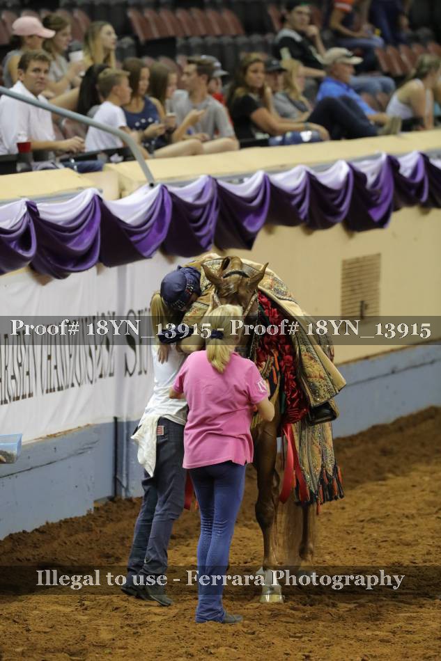Proof 18YN_13915