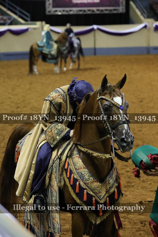 Proof 18YN_13945