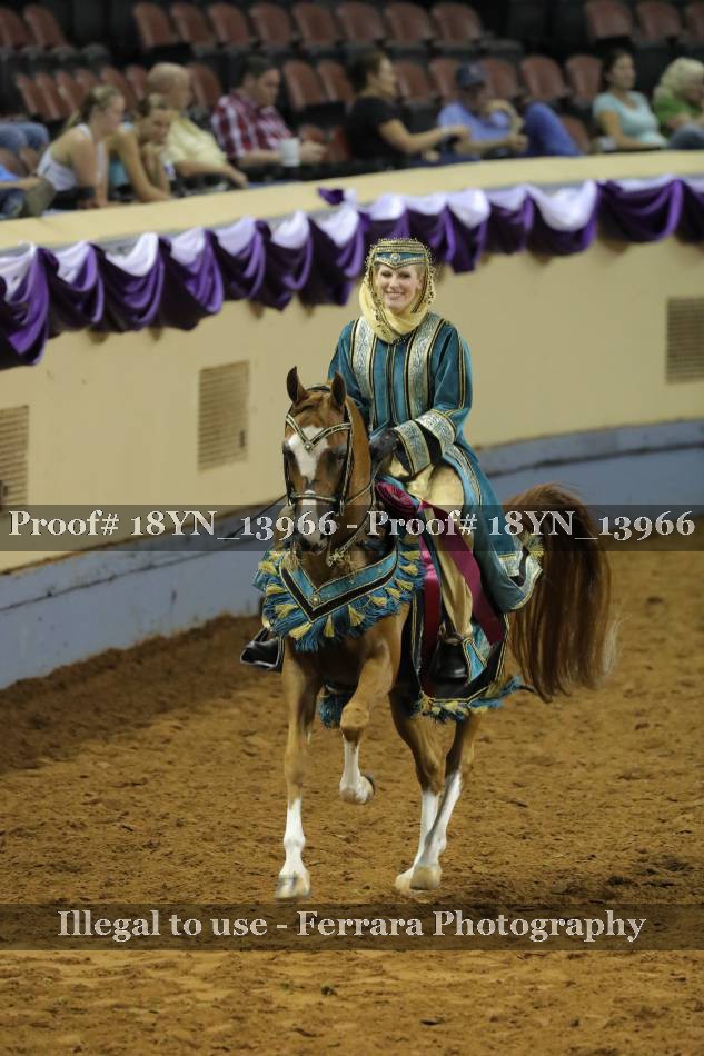 Proof 18YN_13966