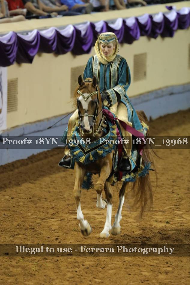 Proof 18YN_13968