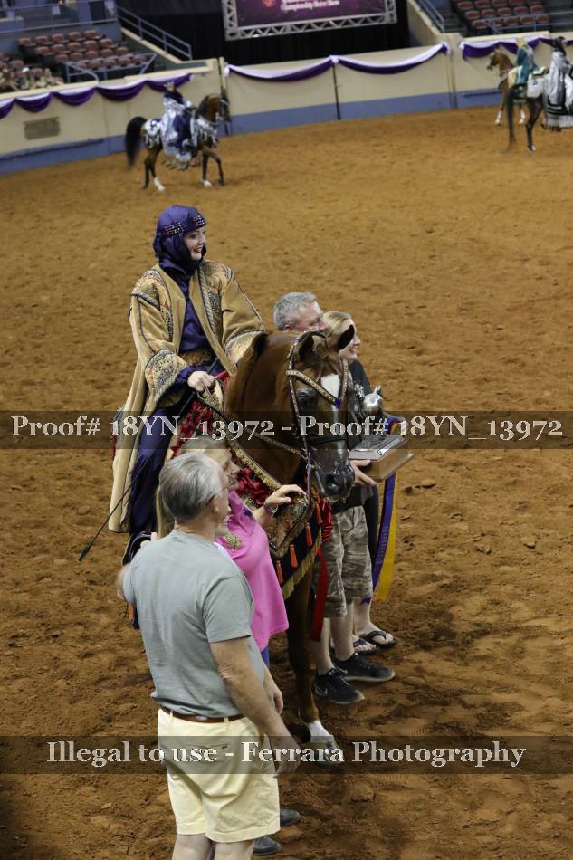 Proof 18YN_13972