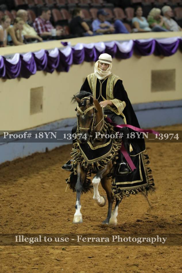 Proof 18YN_13974