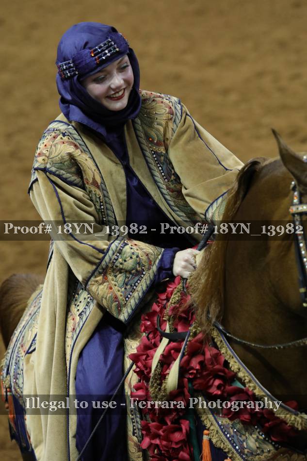 Proof 18YN_13982