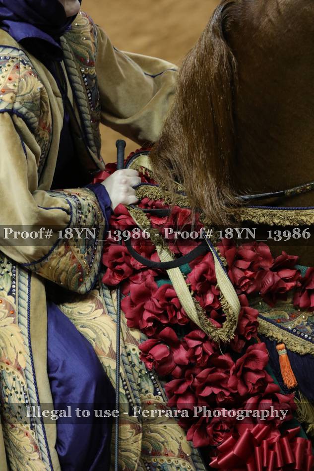 Proof 18YN_13986