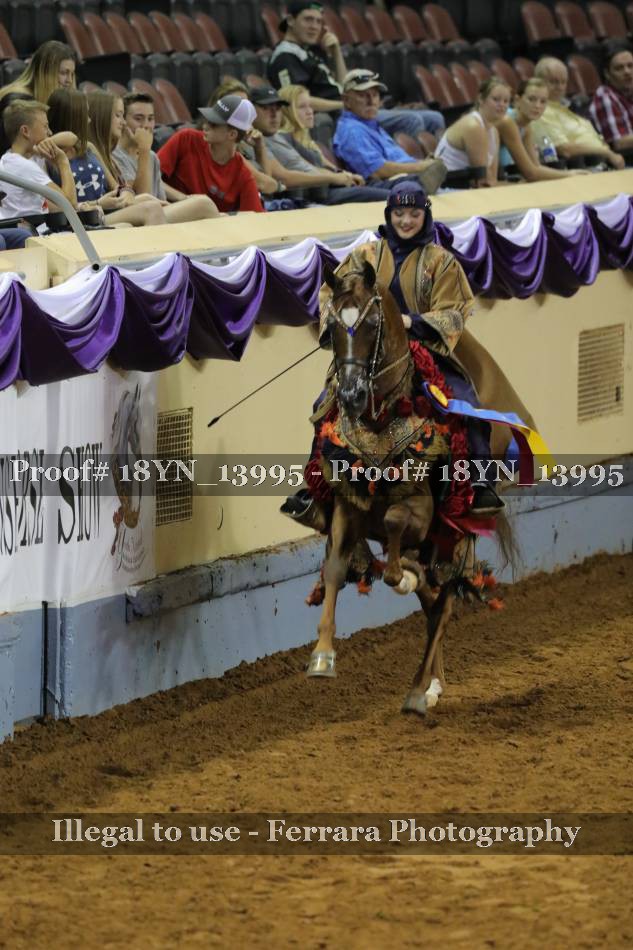 Proof 18YN_13995
