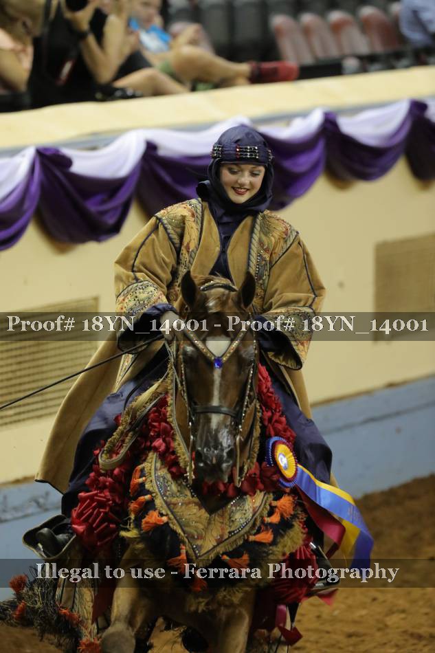 Proof 18YN_14001