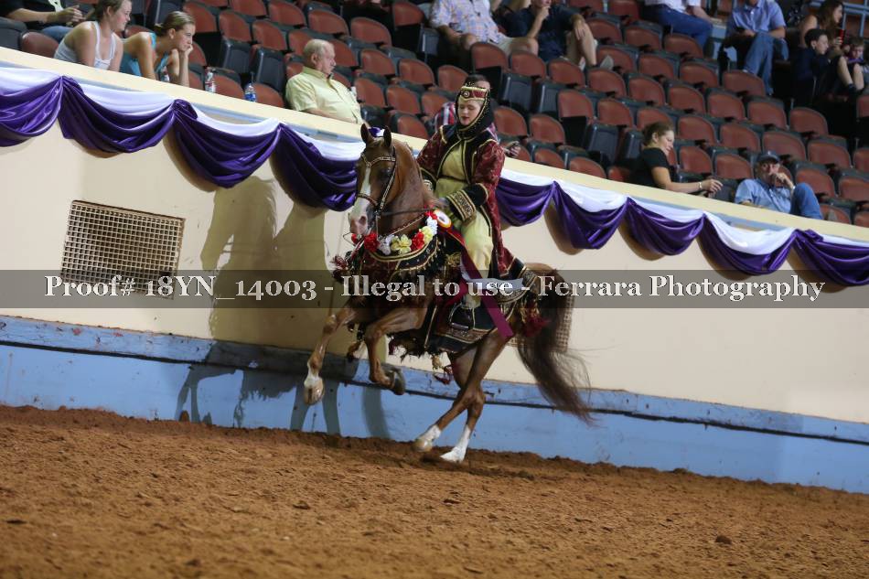 Proof 18YN_14003