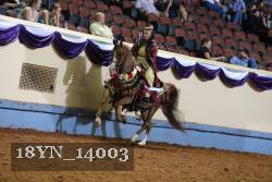 18YN_14003 proof