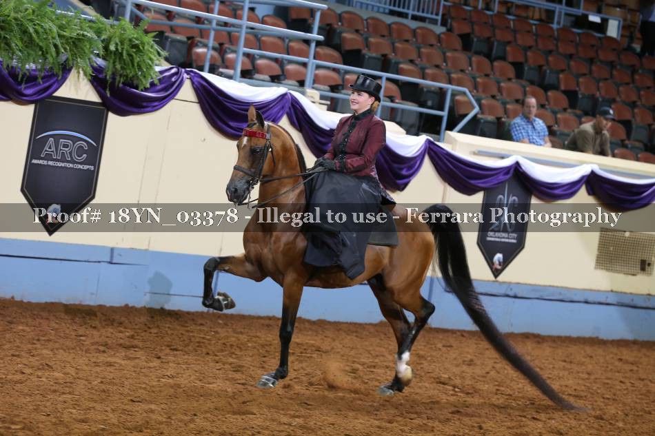 Proof 18YN_03378