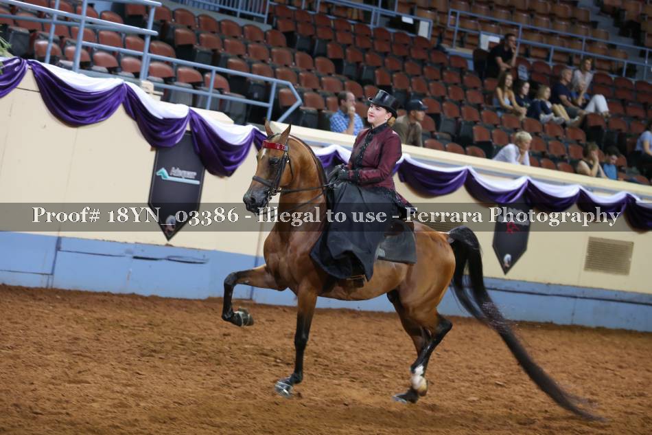 Proof 18YN_03386