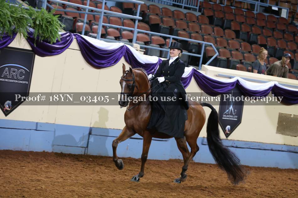 Proof 18YN_03405