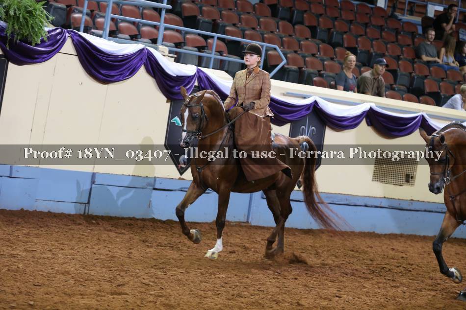 Proof 18YN_03407