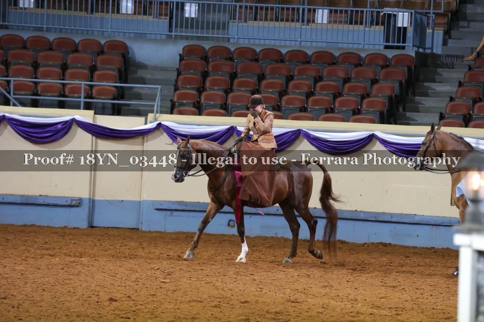 Proof 18YN_03448
