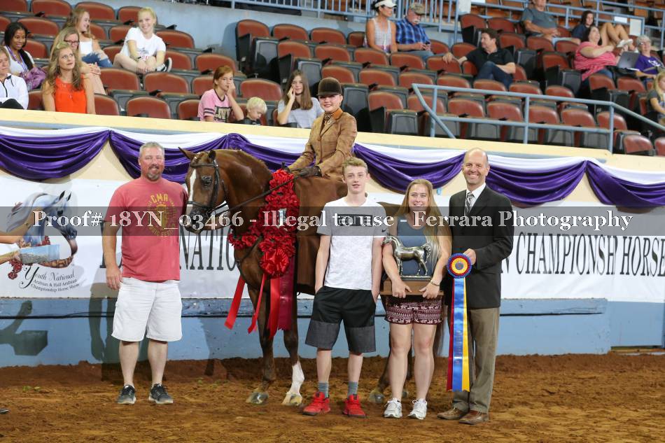 Proof 18YN_03466