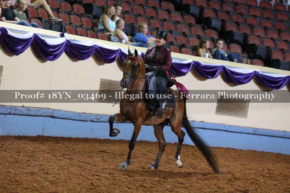 Proof 18YN_03469