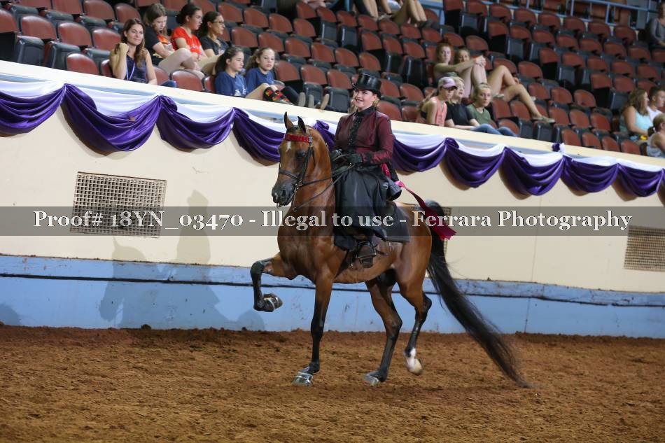 Proof 18YN_03470