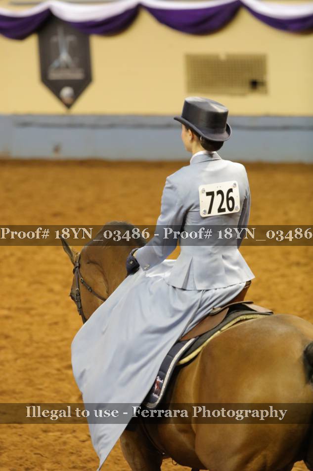 Proof 18YN_03486