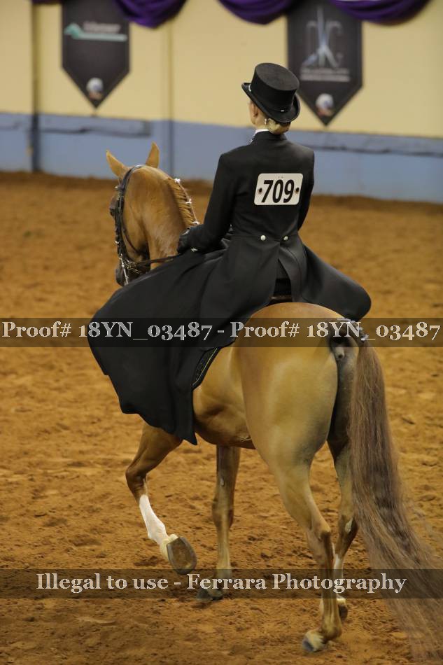 Proof 18YN_03487