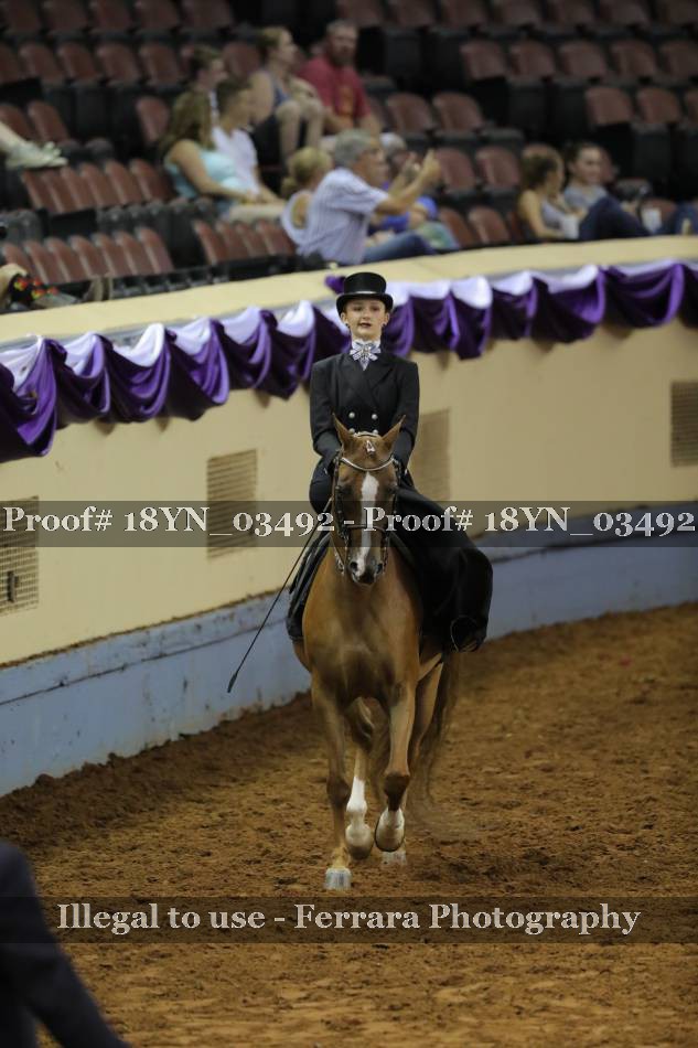 Proof 18YN_03492