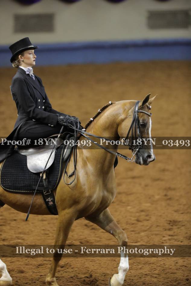 Proof 18YN_03493