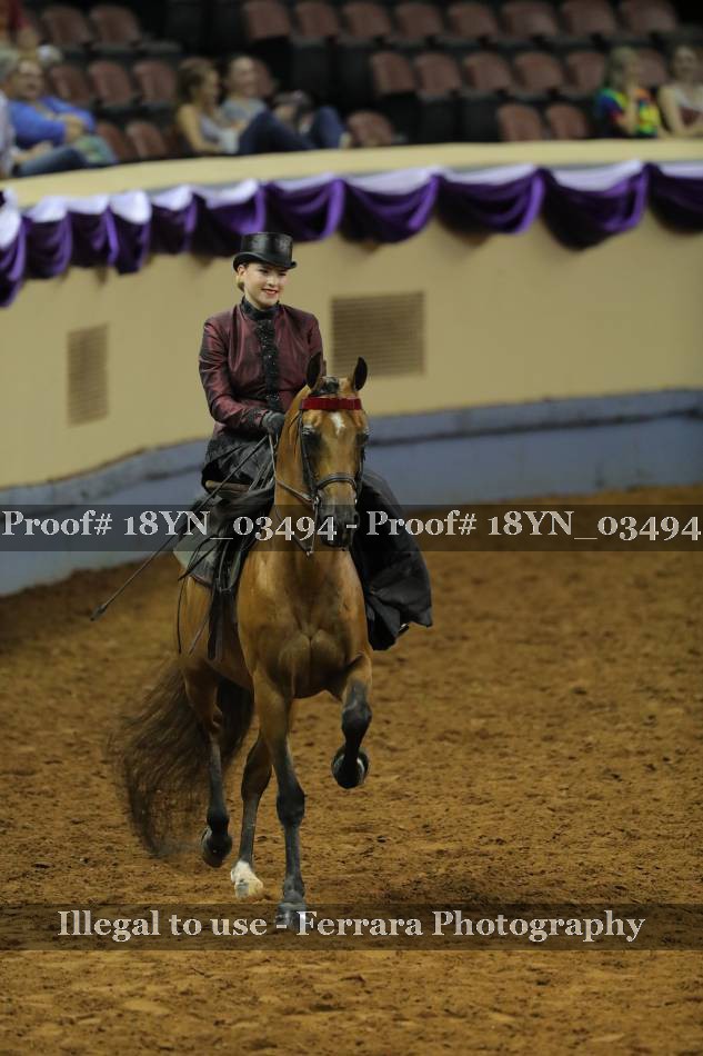 Proof 18YN_03494