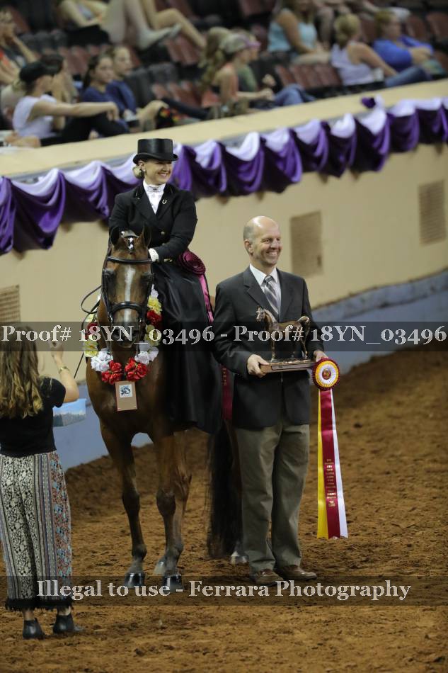 Proof 18YN_03496