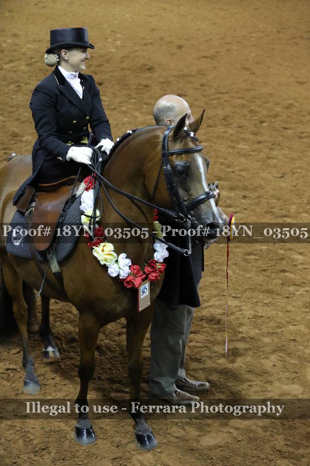 Proof 18YN_03505