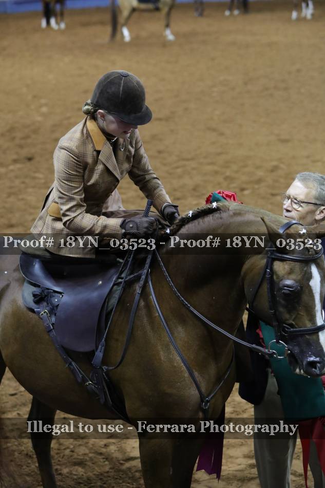 Proof 18YN_03523