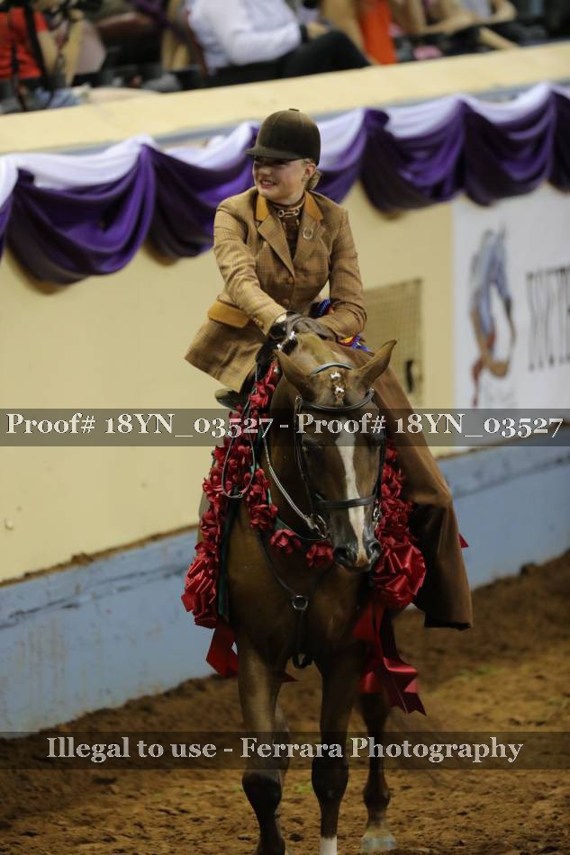 Proof 18YN_03527
