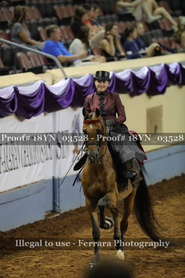 Proof 18YN_03528