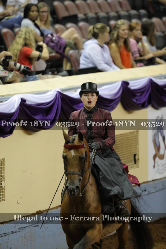 Proof 18YN_03529