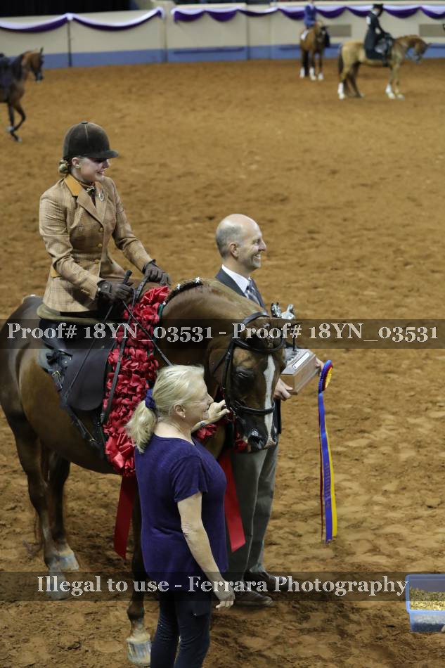 Proof 18YN_03531
