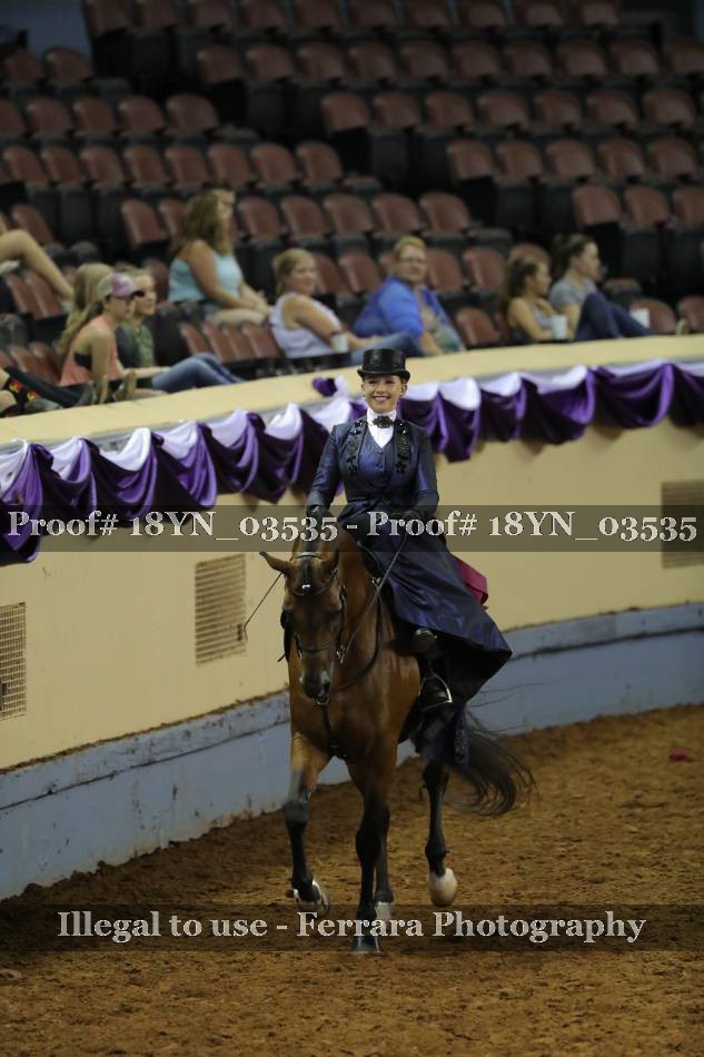 Proof 18YN_03535