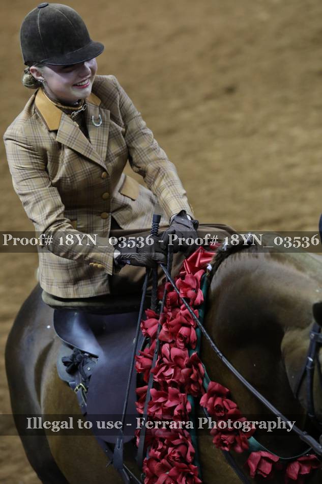 Proof 18YN_03536
