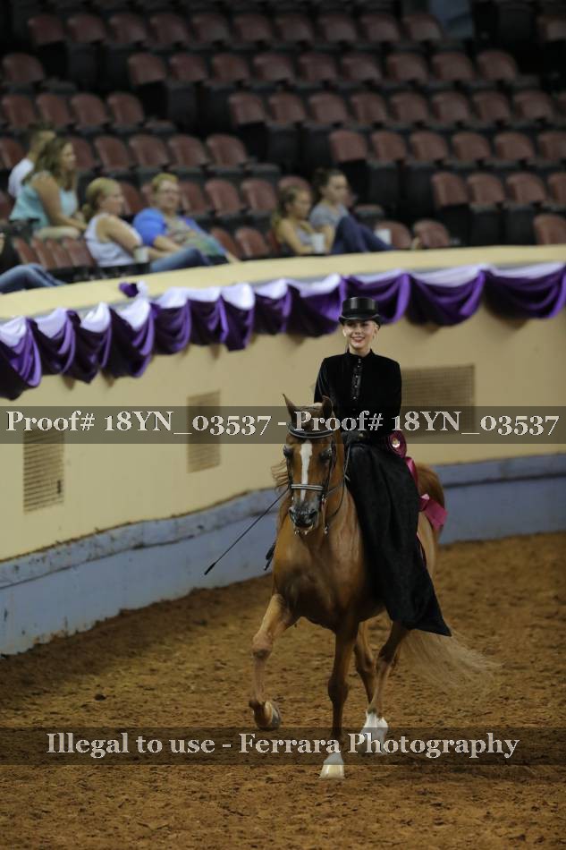 Proof 18YN_03537
