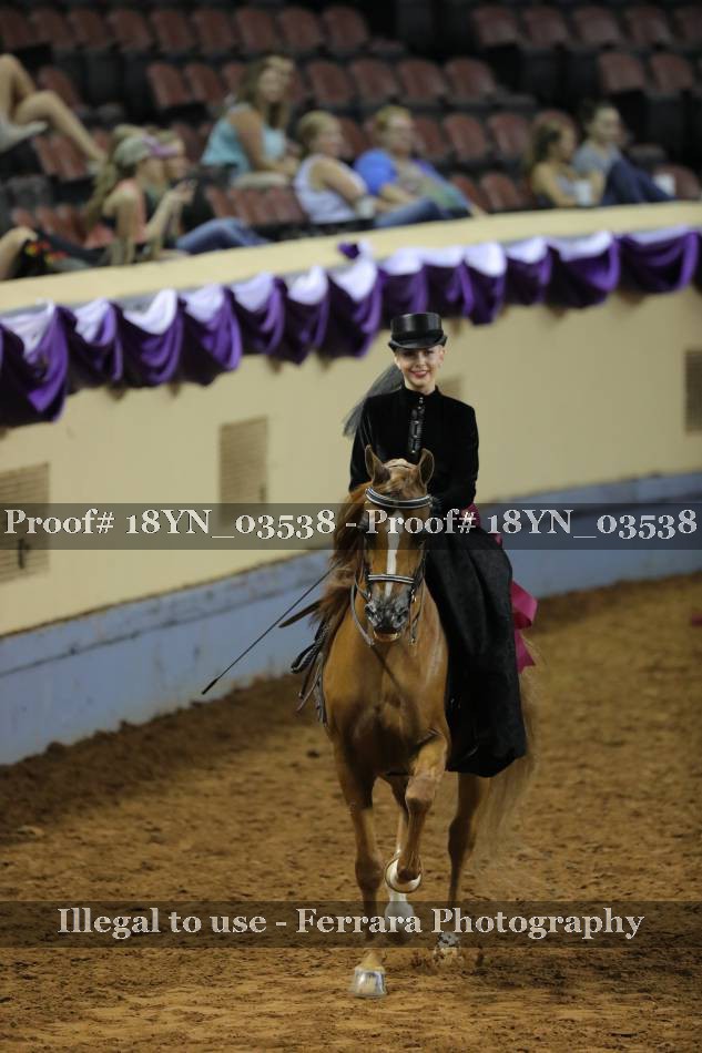 Proof 18YN_03538