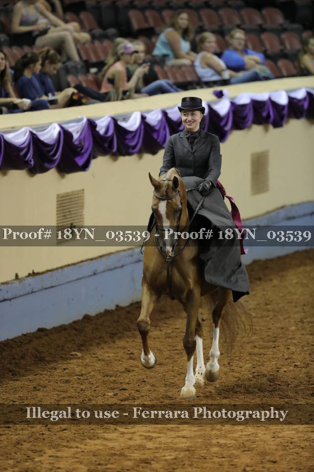 Proof 18YN_03539