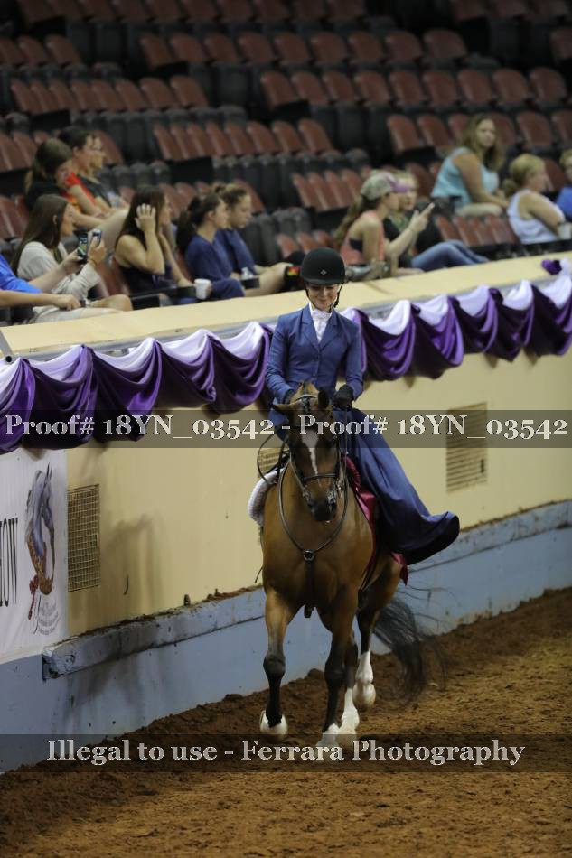 Proof 18YN_03542