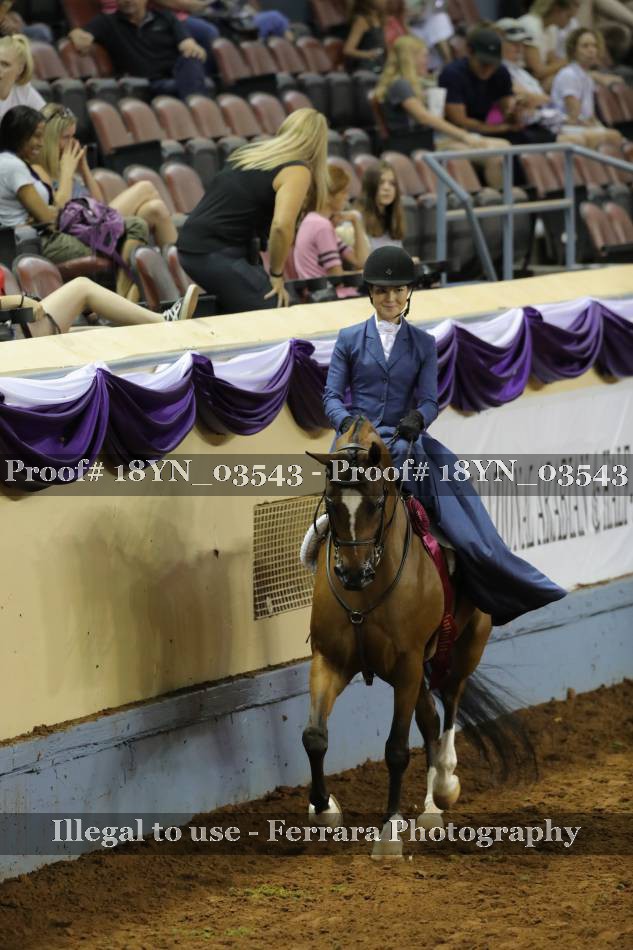 Proof 18YN_03543