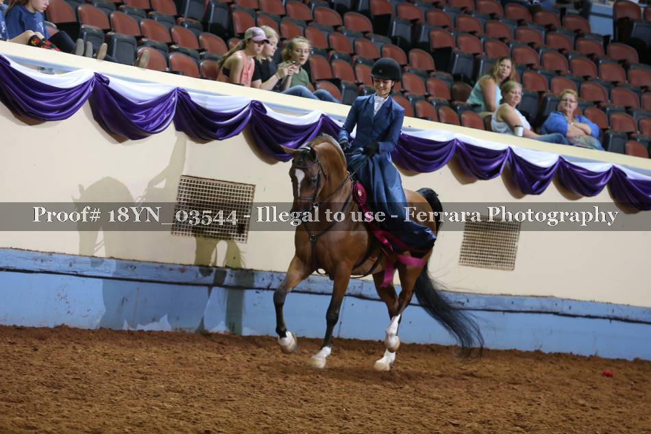 Proof 18YN_03544