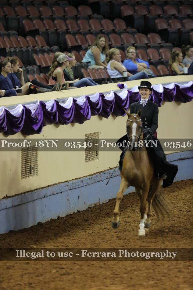 Proof 18YN_03546