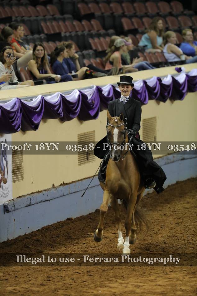 Proof 18YN_03548