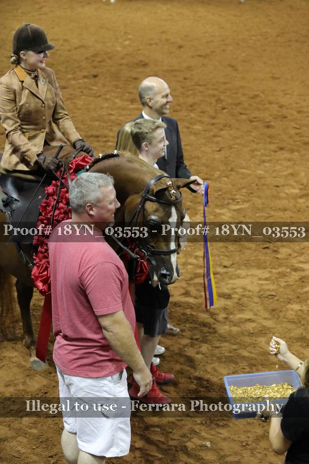 Proof 18YN_03553