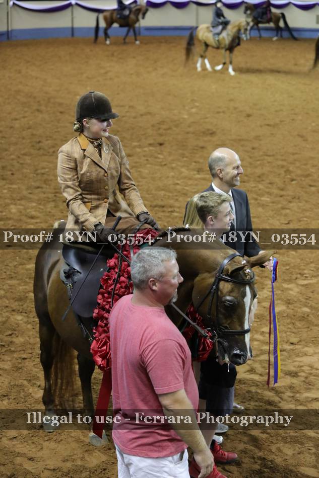 Proof 18YN_03554