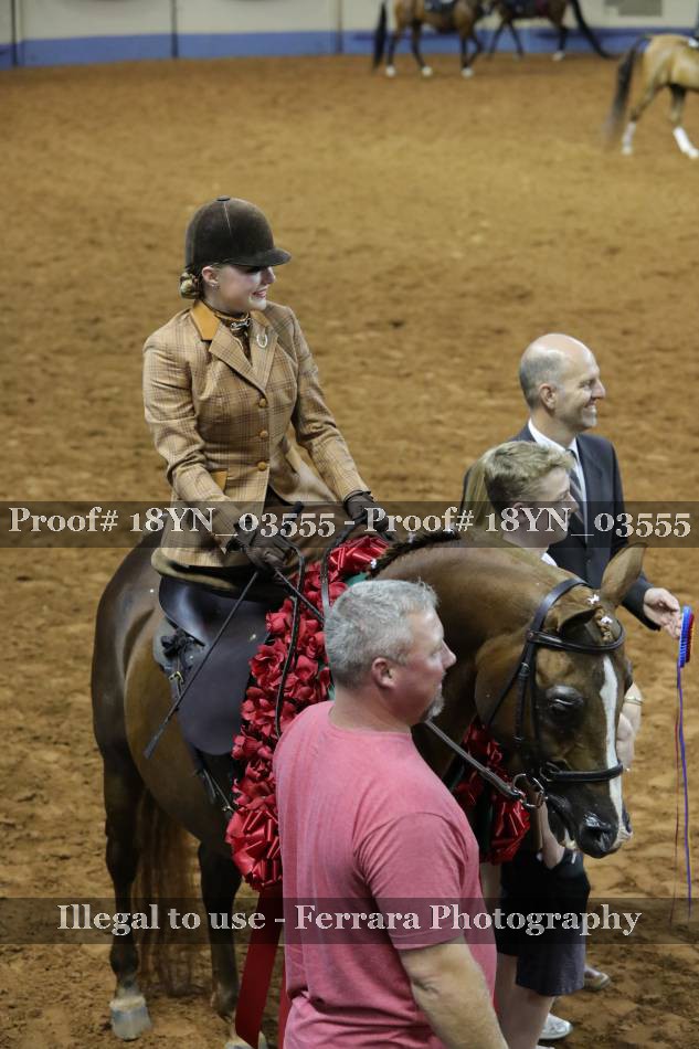 Proof 18YN_03555