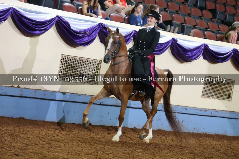 Proof 18YN_03556