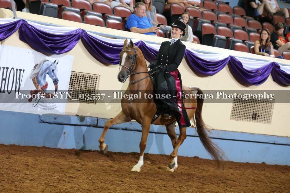 Proof 18YN_03557
