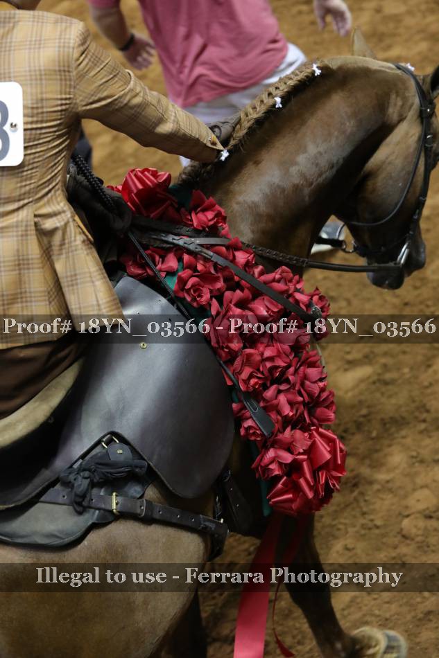Proof 18YN_03566