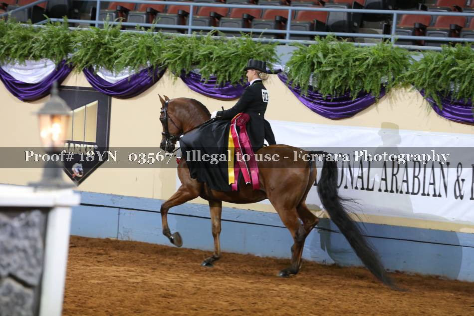 Proof 18YN_03567